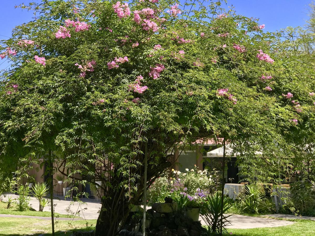 Grace Valley Hotel Arequipa Exterior photo